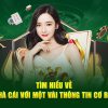 twin68-Giải quyết nhanh chóng với link truy cập nhanh!